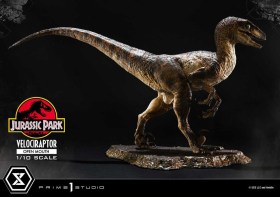 Velociraptor Open Mouth Jurassic Park Prime Collectibles 1/10 Statue by Prime 1 Studio