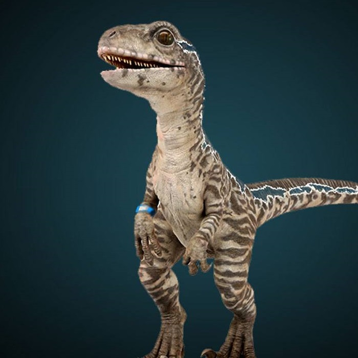 Baby Blue Jurassic World Fallen Kingdom 1 1 Statue By Chronicle Collectibles Baby Blue Jurassic World Fallen Kingdom 1 1 Statue By Chronicle Collectibles