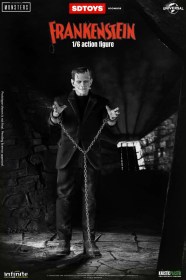 Frankenstein's Monster Standard Edition 1/6 Action Figure by Infinite Statue