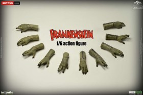 Frankenstein's Monster Standard Edition 1/6 Action Figure by Infinite Statue