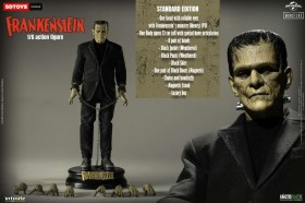 Frankenstein's Monster Standard Edition 1/6 Action Figure by Infinite Statue