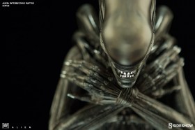 Alien Internecivus Raptus Statue by Sideshow