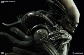 Alien Internecivus Raptus Statue by Sideshow