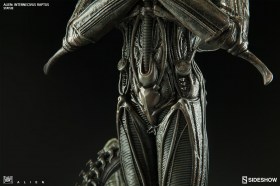 Alien Internecivus Raptus Statue by Sideshow