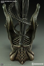 Alien Internecivus Raptus Statue by Sideshow