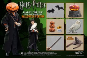 Harry Potter (Child) Halloween Limited Edition Harry Potter My Favourite Movie 1/6 Action Figure by Star Ace Toys