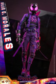 Miles G. Morales Spider-Man Across the Spider-Verse 1/6 Action Figure by Hot Toys