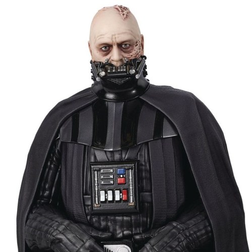 Darth Vader (unhelmeted) Episode VI Star Wars 1/6 Bust by Gentle Giant