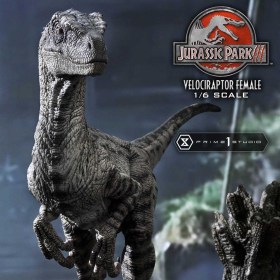 Velociraptor Female Bonus Version Jurassic Park III Legacy Museum Collection 1/6 Statue by Prime 1 Studio