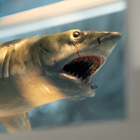 Jaws Bronze Jaws 1/18 Maquette by ECC
