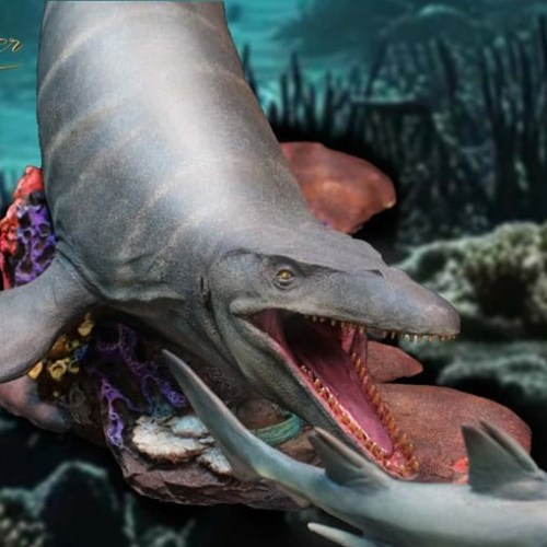Mosasaurus DX Wonders of the Wild Statue by Star Ace Toys
