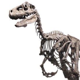 Raptor Skeleton Bronze Jurassic Park 1/4 Statue by Elite Creature Collectibles