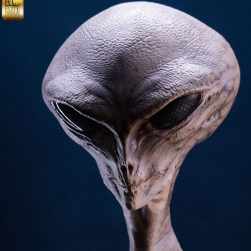 Reptilian Grey (Steve Wang) Elite Creature Line Maquette by ECC