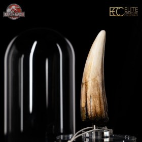 Spinosaurus Tooth Jurassic Park III Prop Replica 1/1 by ECC