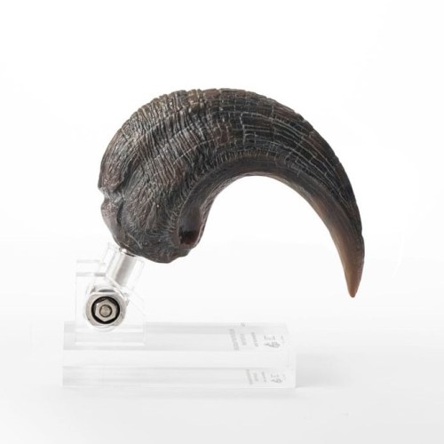 Velociraptor Foot Claw Prop Jurassic Park Elite Creature Line Statue by ECC