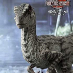 Velociraptor Female Jurassic Park III Legacy Museum Collection 1/6 Statue by Prime 1 Studio