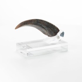 Velociraptor Hand Claw Prop Jurassic Park Elite Creature Line Statue by ECC