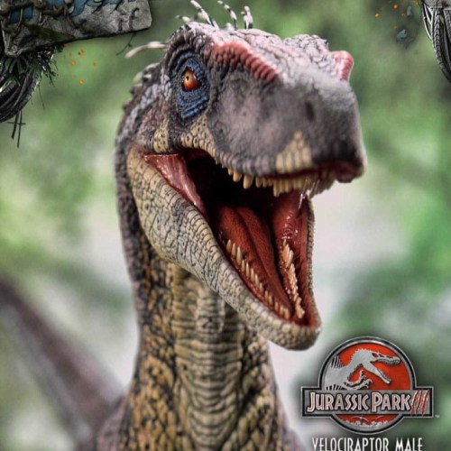 Velociraptor Male Bonus Version Jurassic Park III Legacy Museum Collection 1/6 Statue by Prime 1 Studio