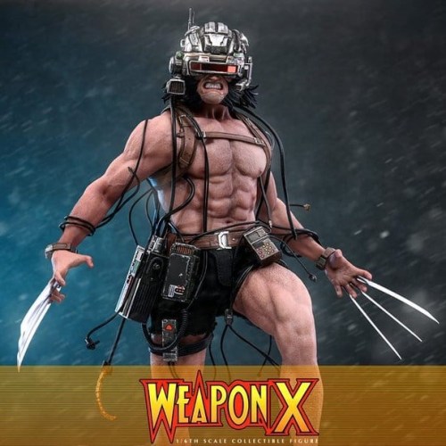 Weapon X Marvel 1/6 Action Figure by Hot Toys
