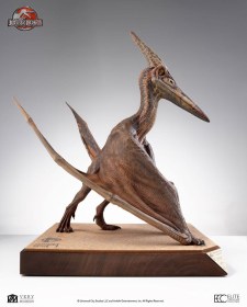Pteranodon Jurassic Park III Scale 1/5 Prop Replica by ECC