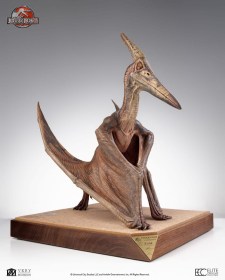Pteranodon Jurassic Park III Scale 1/5 Prop Replica by ECC