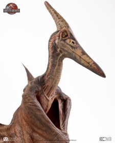 Pteranodon Jurassic Park III Scale 1/5 Prop Replica by ECC