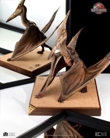 Pteranodon Jurassic Park III Scale 1/5 Prop Replica by ECC