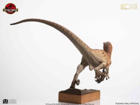 Male Velociraptor Jurassic Park The Lost World 1/4 Statue by ECC