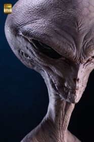 Reptilian Grey (Steve Wang) Life-Size Bust by ECC