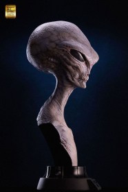 Reptilian Grey (Steve Wang) Life-Size Bust by ECC
