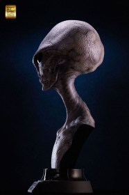 Reptilian Grey (Steve Wang) Life-Size Bust by ECC