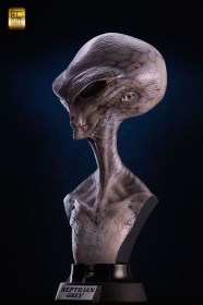 Reptilian Grey (Steve Wang) Life-Size Bust by ECC