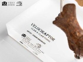 Velociraptor Foot Claw and Fossil Claw Set Jurassic Park Elite Creature Line Statue by ECC