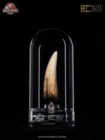 Spinosaurus Tooth Jurassic Park III Prop Replica 1/1 by ECC