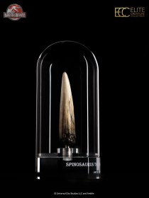Spinosaurus Tooth Jurassic Park III Prop Replica 1/1 by ECC