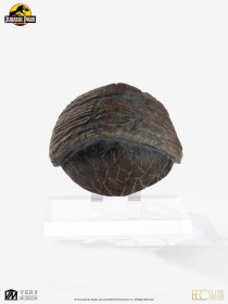 Triceratops Toenail Jurassic Park 1/1 Replica by ECC