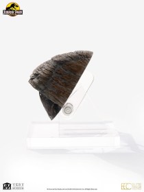 Triceratops Toenail Jurassic Park 1/1 Replica by ECC