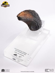 Velociraptor Toenail Type A Jurassic Park 1/1 Replica by ECC