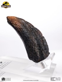 Velociraptor Toenail Type A Jurassic Park 1/1 Replica by ECC