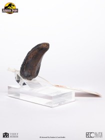 Velociraptor Toenail Type A Jurassic Park 1/1 Replica by ECC