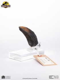 Velociraptor Toenail Type A Jurassic Park 1/1 Replica by ECC