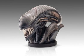 Xenomorph Alien Romulus 1/1 Bust by HCG