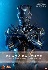 Black Panther Wakanda Forever Movie Masterpiece 1/6 Action Figure Black Panther by Hot Toys