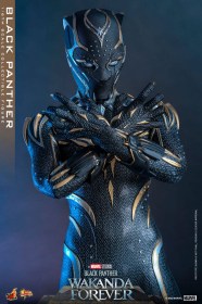 Black Panther Wakanda Forever Movie Masterpiece 1/6 Action Figure Black Panther by Hot Toys