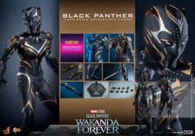 Black Panther Wakanda Forever Movie Masterpiece 1/6 Action Figure Black Panther by Hot Toys