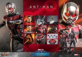 Ant-Man & The Wasp Quantumania Movie Masterpiece 1/6 Action Figure Ant-Man by Hot Toys