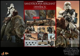 Sandtrooper Sergeant & Dewback Star Wars Episode IV 1/6 Action Figure 2-Pack by Hot Toys