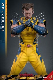 Wolverine (Deluxe Version) Deadpool & Wolverine Movie Masterpiece 1/6 Action Figure by Hot Toys
