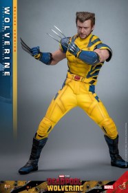 Wolverine (Deluxe Version) Deadpool & Wolverine Movie Masterpiece 1/6 Action Figure by Hot Toys