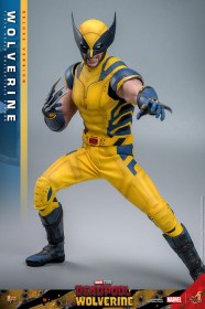 Wolverine (Deluxe Version) Deadpool & Wolverine Movie Masterpiece 1/6 Action Figure by Hot Toys